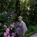���� �������, ���� - ��������� 28 ������ 2026 � ������ ���� ����������