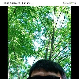 �������, ������-��-����, 31 ���