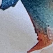 �������, 38 ���, ������