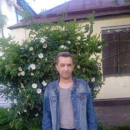 , 53 , --