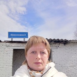 ���� �����, �����������, 41 ��� - ��������� 18 ��� 2024