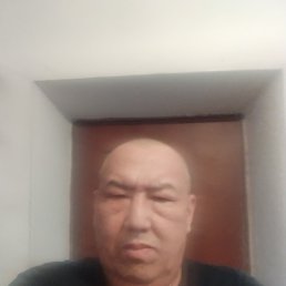 , 53, 