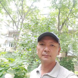 , 51, 
