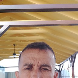 , 45 , 