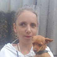, 33 , -