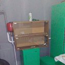 ���� ����, ������, 61 ��� - ��������� 19 ������� 2024