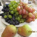 ���� ��������, ������ - ��������� 8 ������ 2023 � ������ ���� ����������