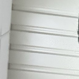 ����, �����, 40 ���