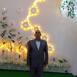 , 66, 
