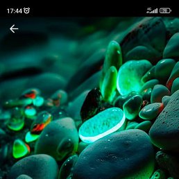 ���������, ������, 35 ���