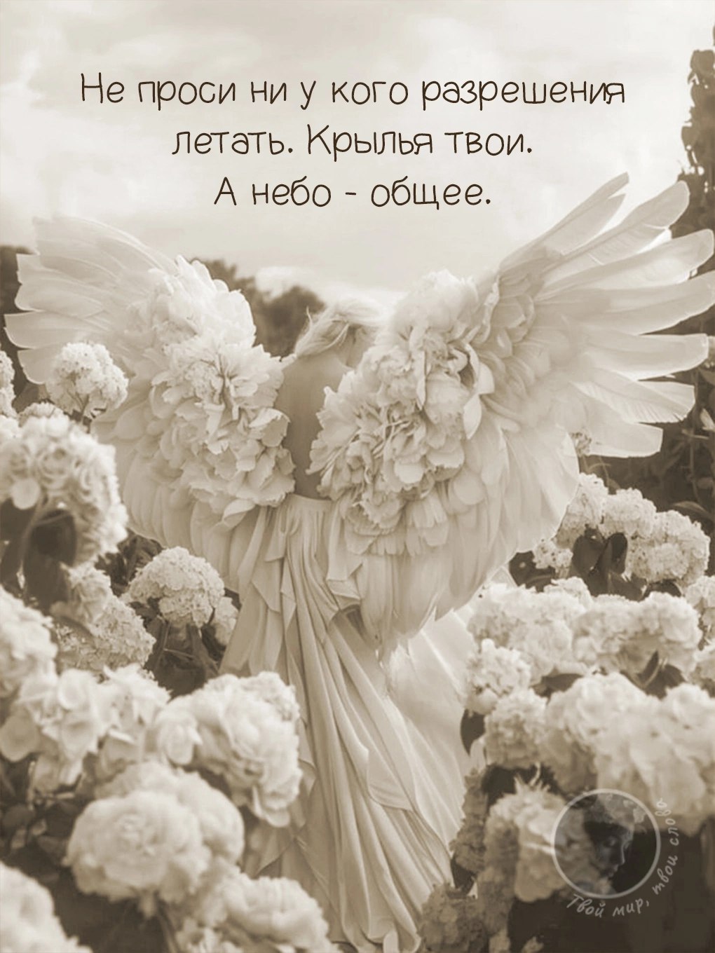  - 31  2025  18:06