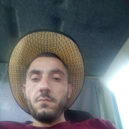 , 36, 