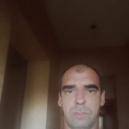 , 42, 