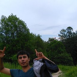 , 29, 