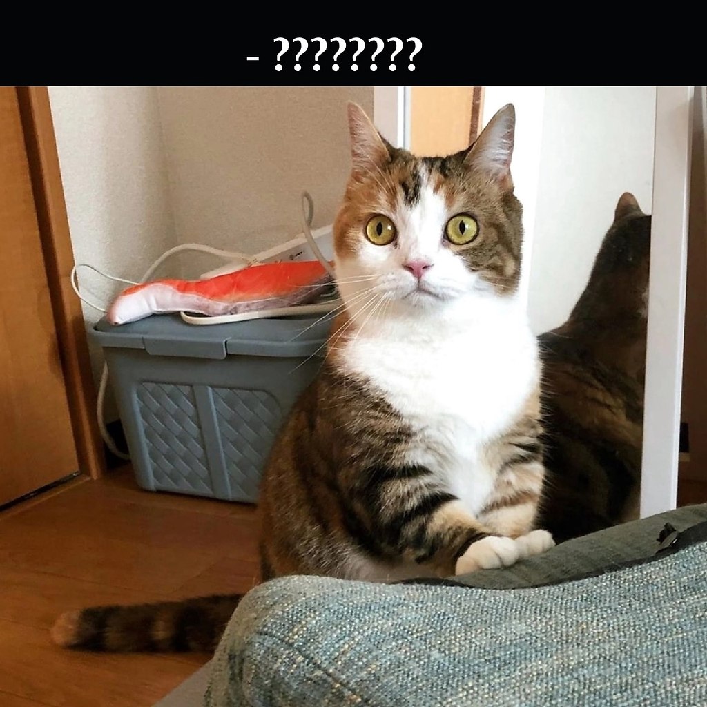 ��� ���� � ����� �� �� - 23 ������� 2026 � 16:30 - 3