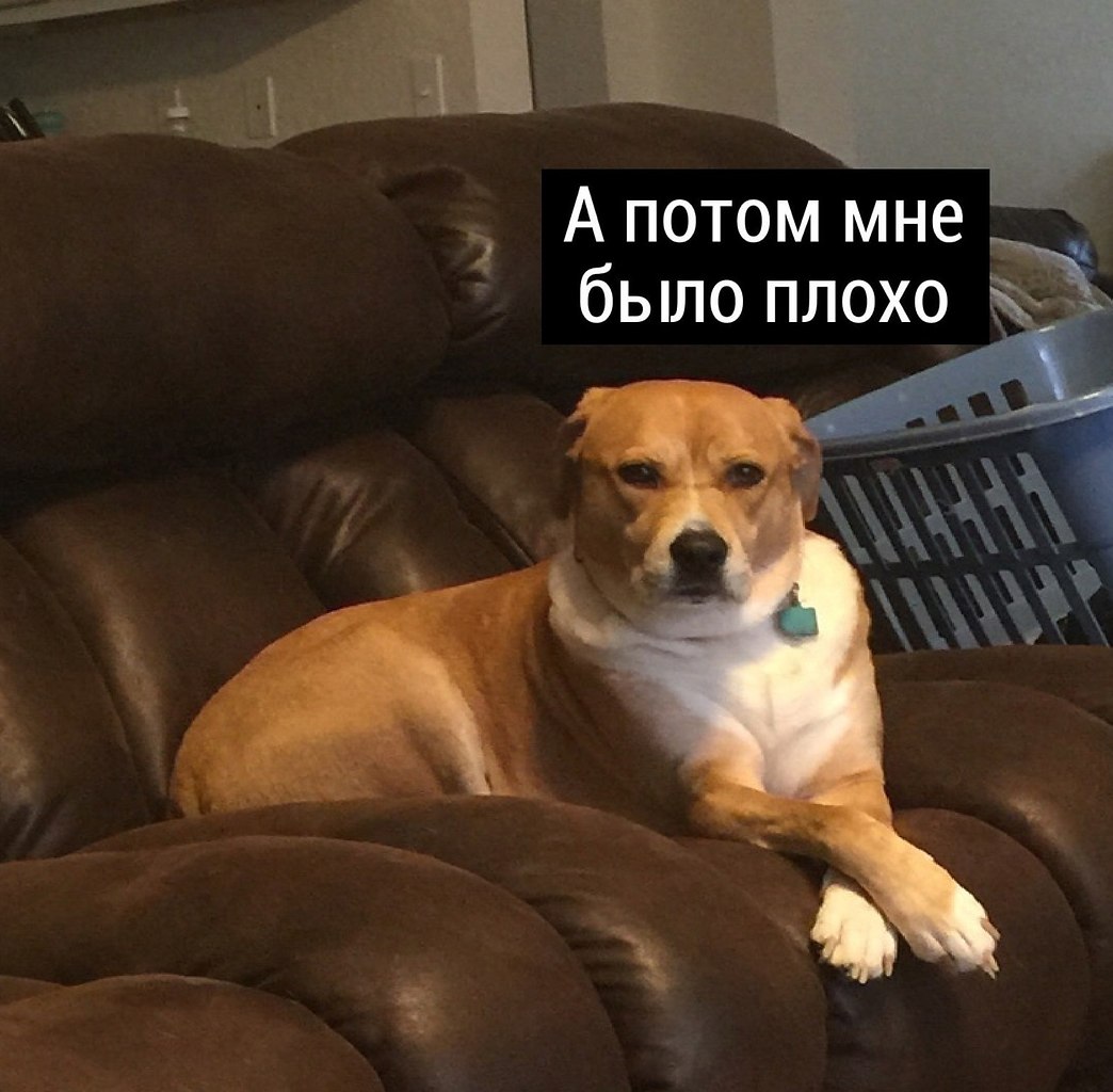    - 3