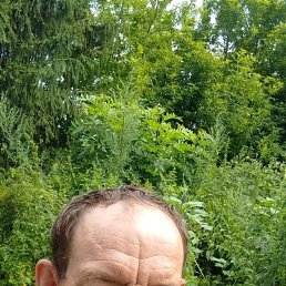  , 56, 