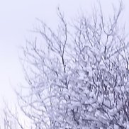 ��������, 50 ���, ������