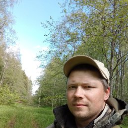, 33, 