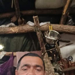 , 46, 