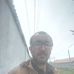 �����, �������, 49 ���