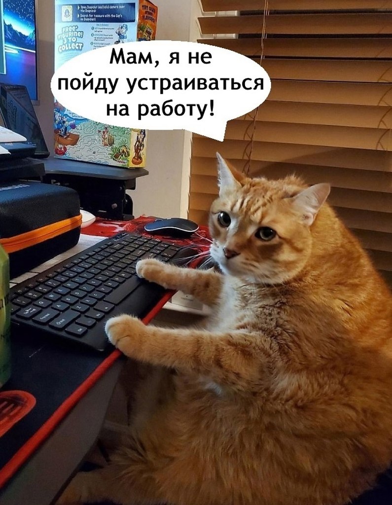 �� ��� ���