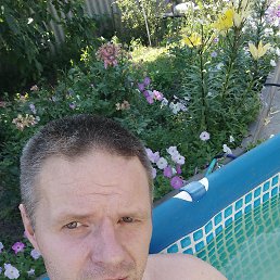 , 39, 