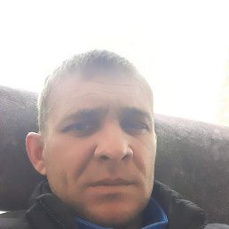 , 40, 