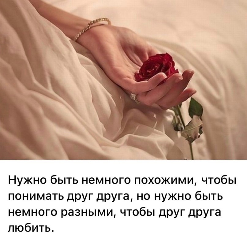��� ���� - 12 ����� 2026 � 12:51