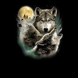 ���� ���, �����-���������, 39 ��� - ��������� 9 ����� 2024