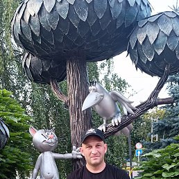 ���� ����, ������, 37 ��� - ��������� 18 ������� 2025