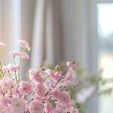 ���� �����, �������������� - ��������� 4 ������� 2024 � ������ ���� ����������