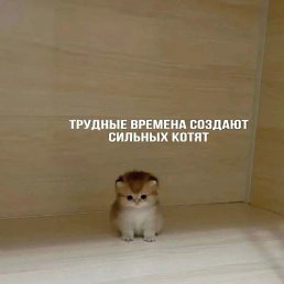 , , 21 