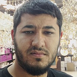 Bobur, �������, 29 ���