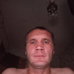 , 39, 