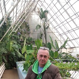 �������, 56 ���, ����������