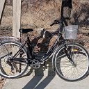 ���� ������, ������, 38 ��� - ��������� 28 ������� 2023 � ������ ���� ����������