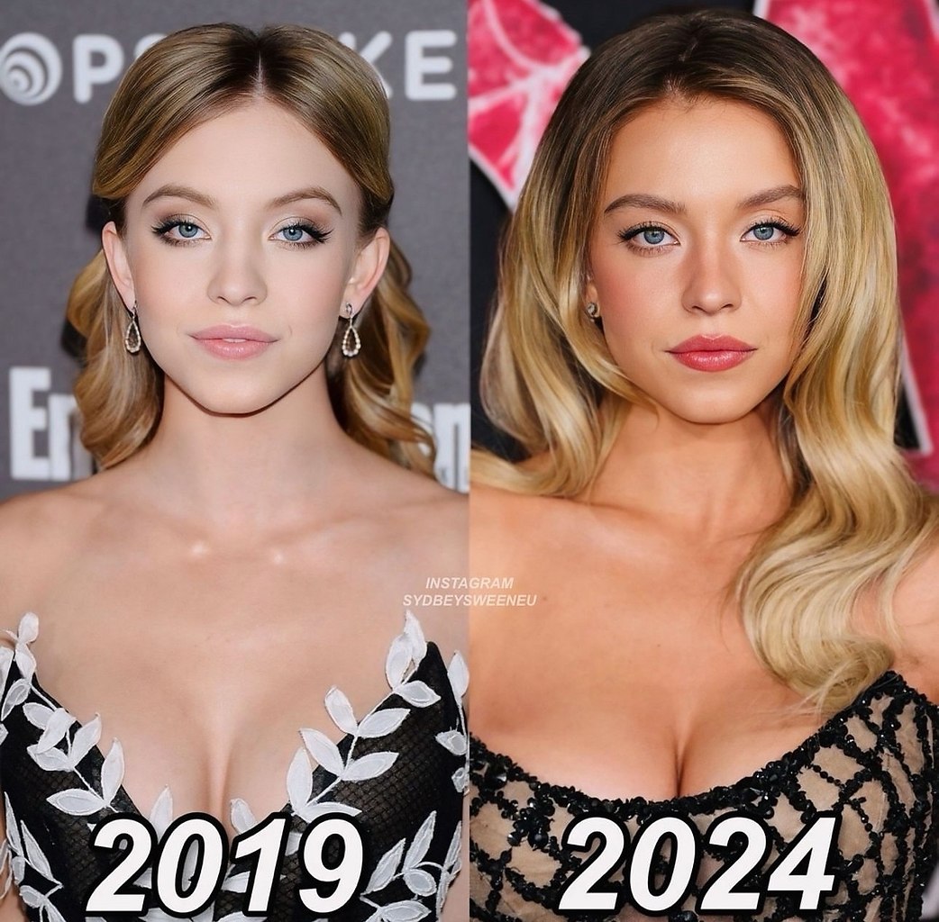   2019 vs 2024