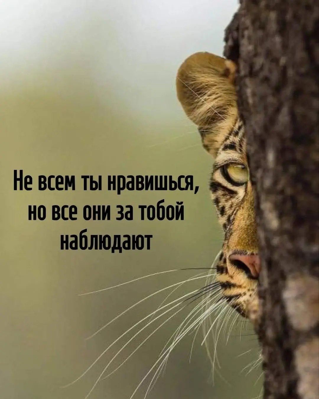  - 2  2025  10:51