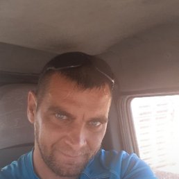 ����, �������, 40 ���