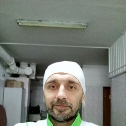 ���� ������, ������, 49 ��� - ��������� 29 ������ 2024