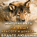 ���� ������, ������, 39 ��� - ��������� 24 ���� 2026 � ������ ���� ����������
