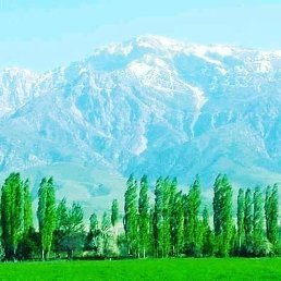 �����, ������, 36 ���