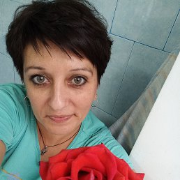 , 43 , 