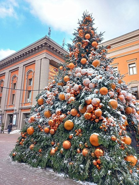 ���������� �����.����: ��������� ������ - 5