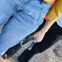 ���������. ������ �� ��������.� ������ ���! �� ������� �������