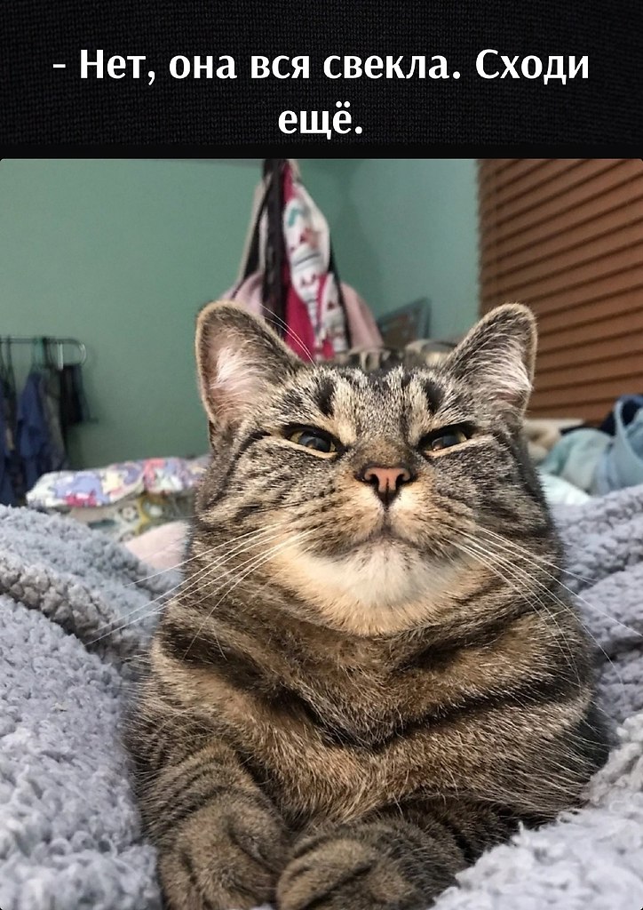 = - 3