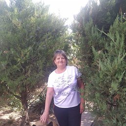 ������, ������, 66 ���