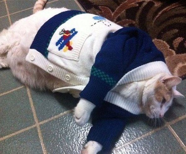 От бабушки все возвращаются сытыми и приодетыми.