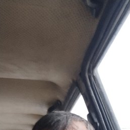 , 45, 